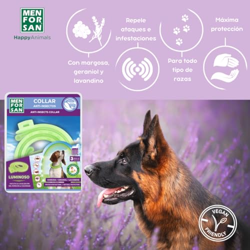 MENFORSAN Collier Anti-Insectes Luminescent pour Chien avec Répulsifs Naturels, Longueur 57cm Auto-Réglable - Protège et