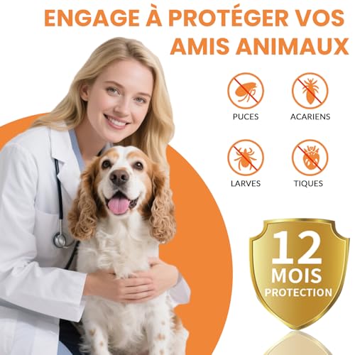 Collier Anti Puces Élimine Puces Tiques Poux 65cm Réglable Imperméable Convient à Tous Les Chiens Huiles Essentielles 10