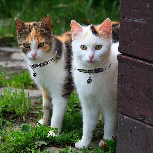 Hepplly Lot de 2 colliers réfléchissants réticulés à libération rapide pour chat avec clochette (noir) - Sécurité & Joue