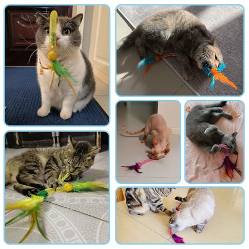 PetGens - Jouets interactifs pour chats, avec ressorts, boules dherbe à chat, plumes et clochettes, jouets intérieurs po