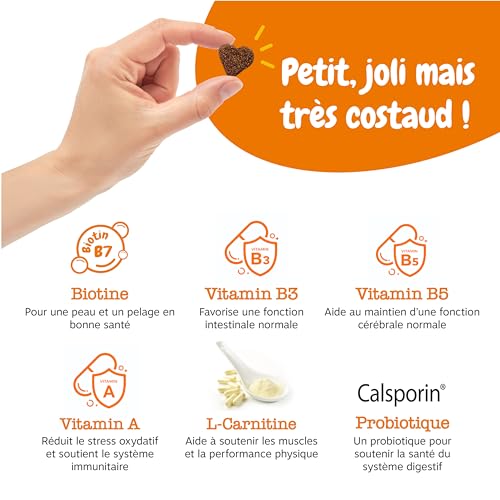 Zesty Paws 5-in-1 Multifonctions pour Chien - Complément sous Forme de Friandise - Soin Complet Multivitamines et Calspo