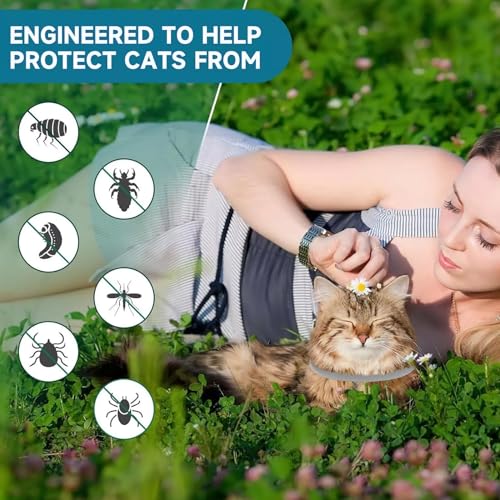 Colliers pour Chat Protection Naturelle Huiles Essentielles Étanche Sécurité Confort Lot de 2
